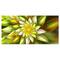 Designart - Huge Yellow Fractal Flower - Floral Canvas Art Print